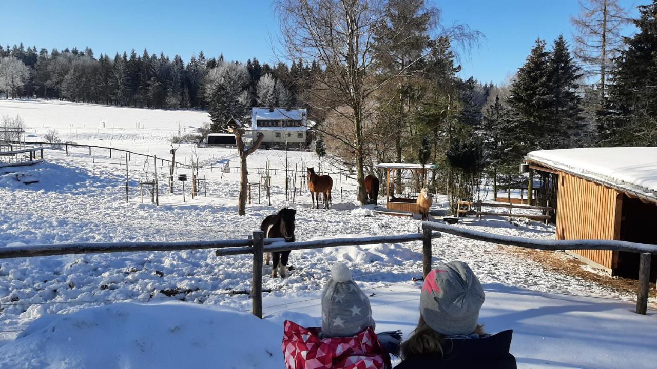 "Sporthuetten Nassau" Ihr Zentrales Domizil An Der Blockline Rechenberg-Bienenmühle 外观 照片